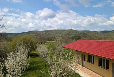 Arges | Valea Mare-Bratia | Vila veritabila 276 mp in zona pitoreasca - 12