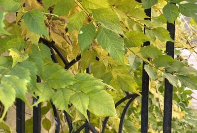 Villa with Art Deco Elements - 9