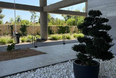 UP-site - Calea Floreasca: 2 camere, est, mobilat, piscina, spa - 10
