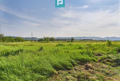 Casă cu teren de 4707 mp în Hălmăgel, județul Arad - 21