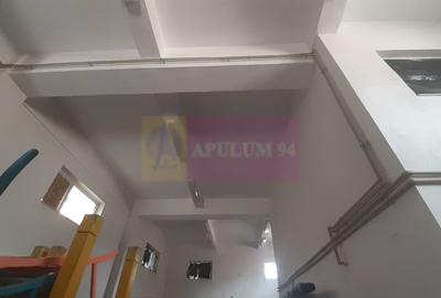 Vilă Mare în Voluntari - 32
