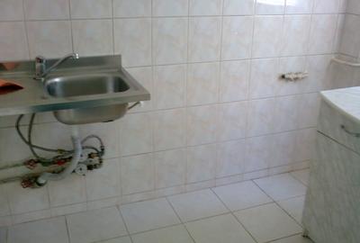 Teiul Doamnei, Bucur Obor, Colentina, garsoniera - 4