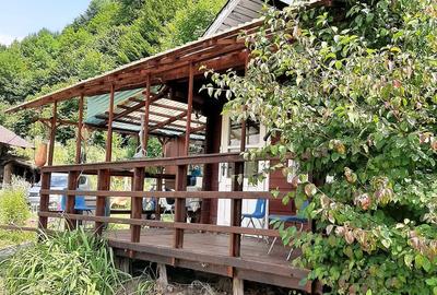 Proprietate pe Valea Vâlsanului – Cabane din lemn + Casă ecologică COB - 7