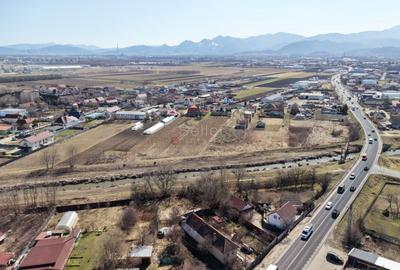 Teren intravilan cu hala construita - 19