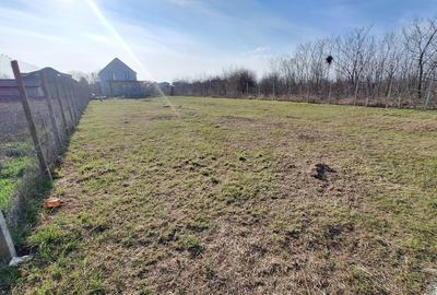 Vand teren intravilan in Branesti Ilfov - 2