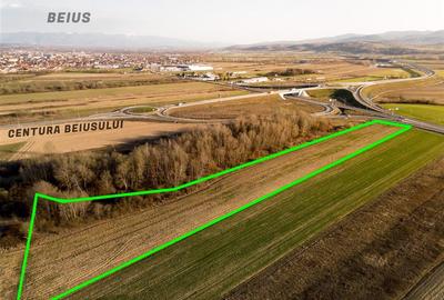 Teren intravilan de 11051 mp, în Periferie
