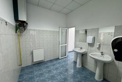 Clădire SAD de închiriat, situată la intrarea în Dumbrăvița - 32