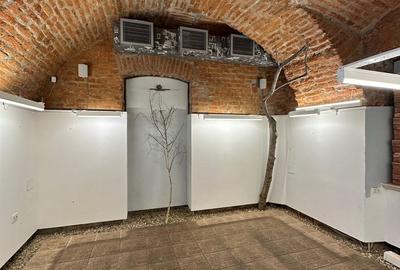 Spatiu comercial în Piața Unirii - 155 mp - 16