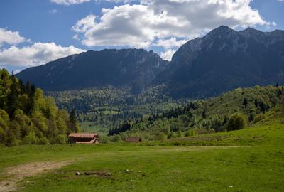 Teren Construcții extravilan de 1893 mp, în Plaiul Foii