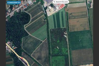 Titu, Dâmbovița - Teren Forestier 7500mp de Vânzare - 1