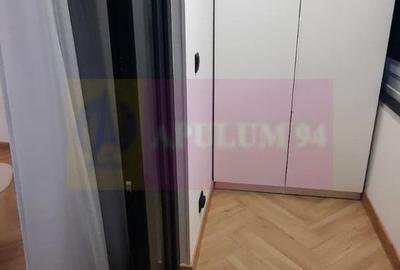Apartament de 2 camere Corneliu Coposu, prima inchiriere - 9