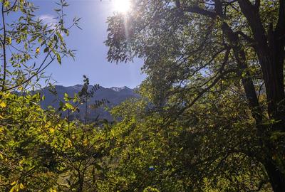 FILM! Proprietate notabila,ocazie personalizare, aprecat areal: Bran, Brasov - 17