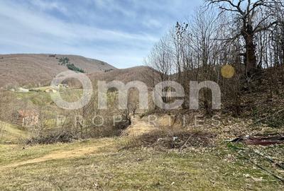 Teren intravialn | 6476 mp | Ulmoasa | zonă superbă - 2