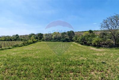 Tere cu constructie de vanzare in Urlati - 1