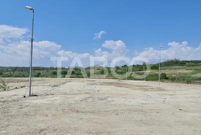 Teren industrial intravilan de vanzare la 3 km de autostrada - 6