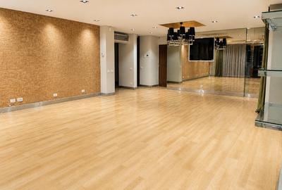 Exclusive Apartment-Penthouse with Lake View Madrigal – Herăstrău Area - 5