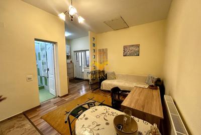 1 camera open space, 2 parcari, curte proprie, FSEGA, Iulius Mall - 3