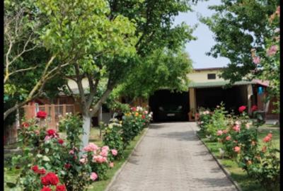 Sanandrei - Central - Duplex 5 Camere - 8