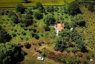 Investiție rară în Bihor - 5