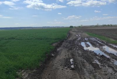 PROPRIETAR-Vand teren extravilan T27,T32,Crevedia DARZA judDB accept agentii 5 € - 1