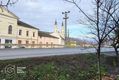 Proprietate tip conac, teren 4468 mp, oras Lipova - 4