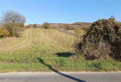 Teren Intravilan langa Dunare!  Disponibil la 15 Euro mp - 3