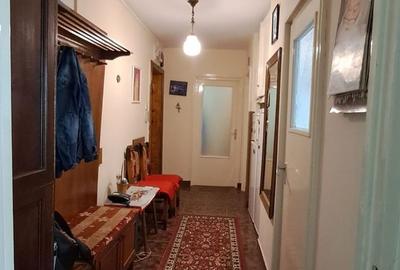 Apartament cu 3 camere, parter inalt, zona Sovata-malul Crisului - 12