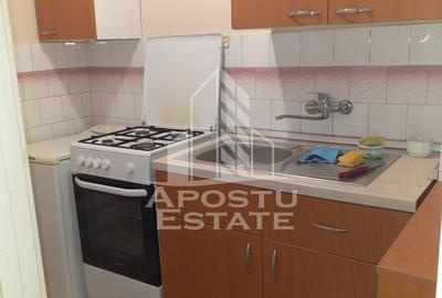 Apartament cu 1 camera de inchiriat, 32 mp, Take Ionescu, Timisoara - 4
