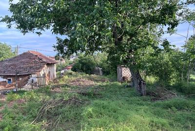 Teren intravilan + Casă bătrânească 944 mp  reconsolidare extindere - 7