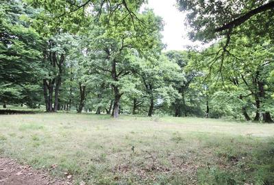 Teren de vanzare 4713 mp investitie | Poiana Brasov - 8