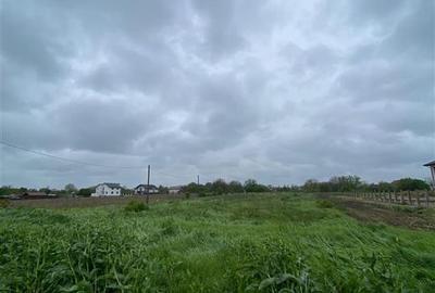 Teren intravilan | 3993 mp | Ciorogarla, Ilfov | Utilitati - 7