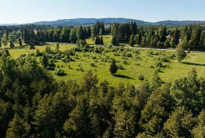 12700 mp investitie rezidențială- turistică- medicală Tinovul Mic/Șaru Dornei - 3
