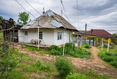 Casă din chirpici, bucătărie de vară și 1.34 ha de teren, Ardeoani - 6