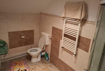 Proprietar vila Câmpulung Muscel str Dracesti 34 colt str Plaiesi - 15