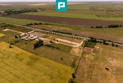 Business la cheie și 25.000 mp teren Arad-Oradea - 20