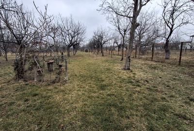 Vila P+1  Ploiesti - Paulestii Noi - 60