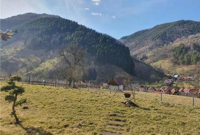 Vindem urgent 1035mp teren intravilan in Rau Sadului ,  SIBIU - 20