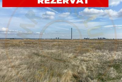 Teren 10000 mp - Albota Papillon, zona industriala in plina dezvoltare - 1