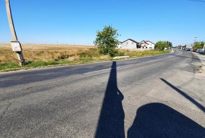 Teren intravilan 33.496 mp, Com. Bradu (fosta Com. Albota), Arges - 2