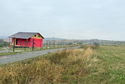 📏 teren pentru cabane Sibiu, Dealul Daii, Casolt, direct de la proprietar - 2