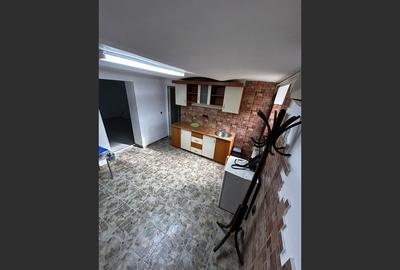 Casa in inima Aradului, ultracentral pe Malul Muresului - 10