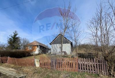 Casa cu 2 camere si teren 4887mp de vanzare in Dabaca - 1