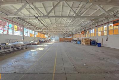 De vanzare spatiu industrial in Turnu Magurele - Teleorman - 6