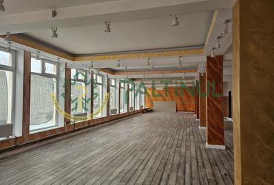 Spațiu comercial de închiriat – 745 mp, zona Aria, Sibiu - 2