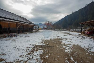 De vanzare| Hala industriala + teren, post trafo propriu, Borca, Neamt - 5