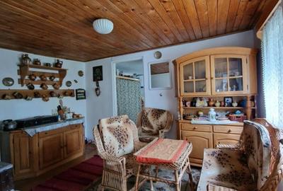 Balilesti - Stradal, casa spatioasa, 4600 mp teren intravilan - curte spatioasa - 18