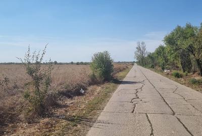 Ocazie- Teren Intravilan de Vanzare- Peris Snagov- Doar 8 euro/mp - 5
