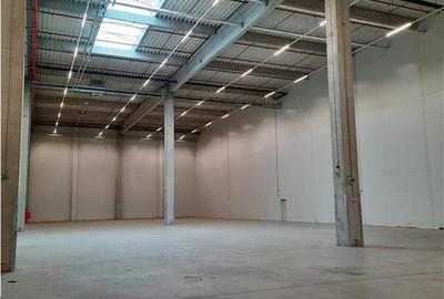 Spatiu Industrial - 3500 mp - Logistica - Productie - Depozitare - Distributie - 4