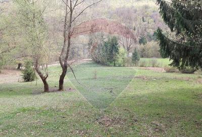 Poienita 2800mp, Covasna, zona hotel Clermont, inconjurat de padure - 3