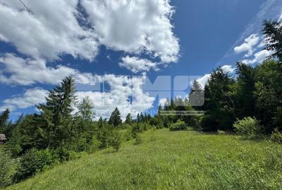 TEREN EXTRAVILAN DE VANZARE | CAMPULUNG MOLDOVENESC | 245.000€ - 4